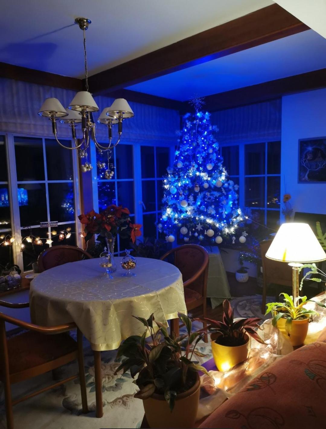 Homestay Svatá Екстериор снимка