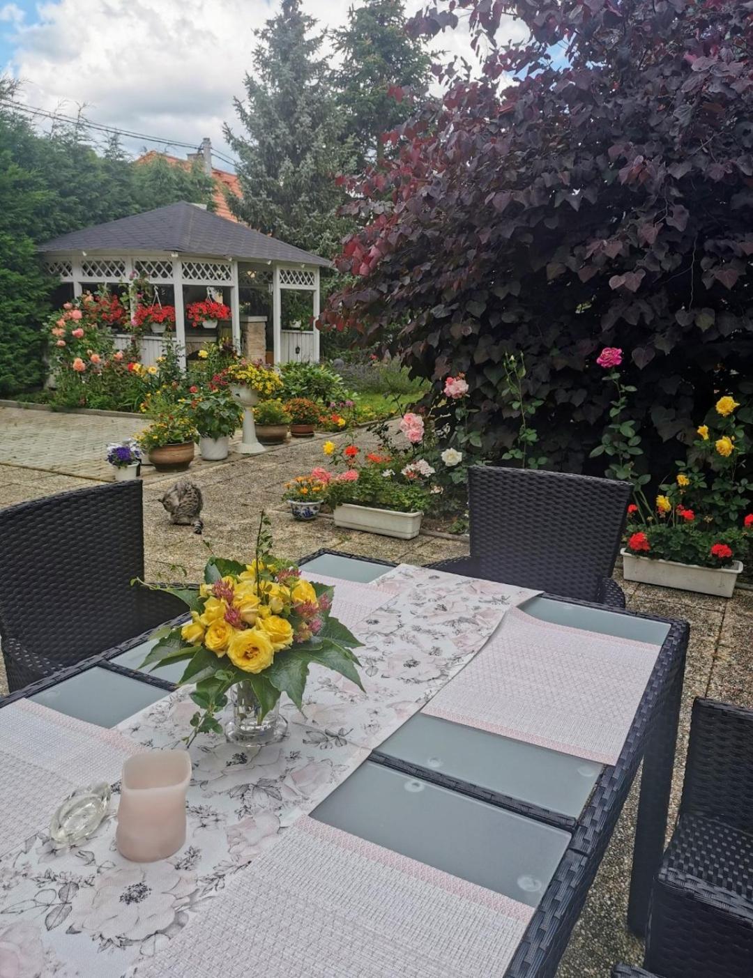 Homestay Svatá Екстериор снимка
